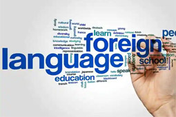 Foreign Language Classes